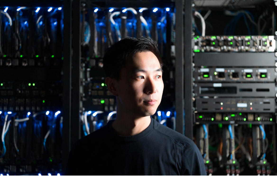 DeepSeek Dual Strategy